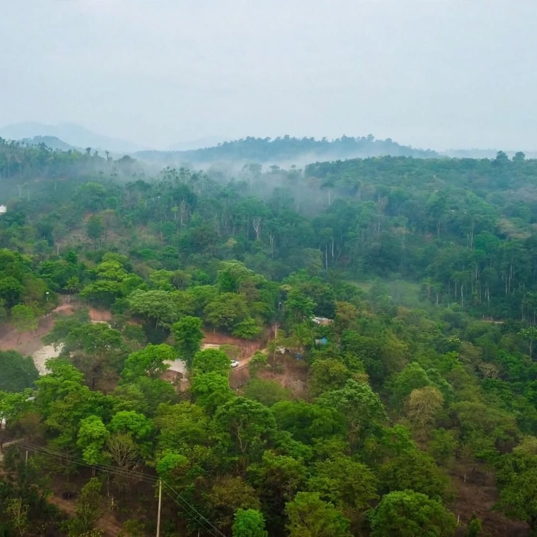 Expansive green hills and forest canopy in the Sakleshpur landscape